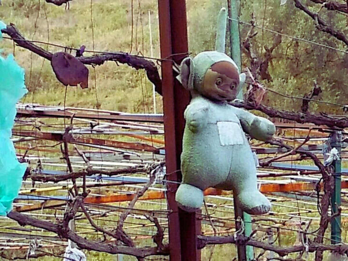 Een Teletubbieknuffel hangt in een tuin in Albanië als beschermer tegen het Boze Oog.