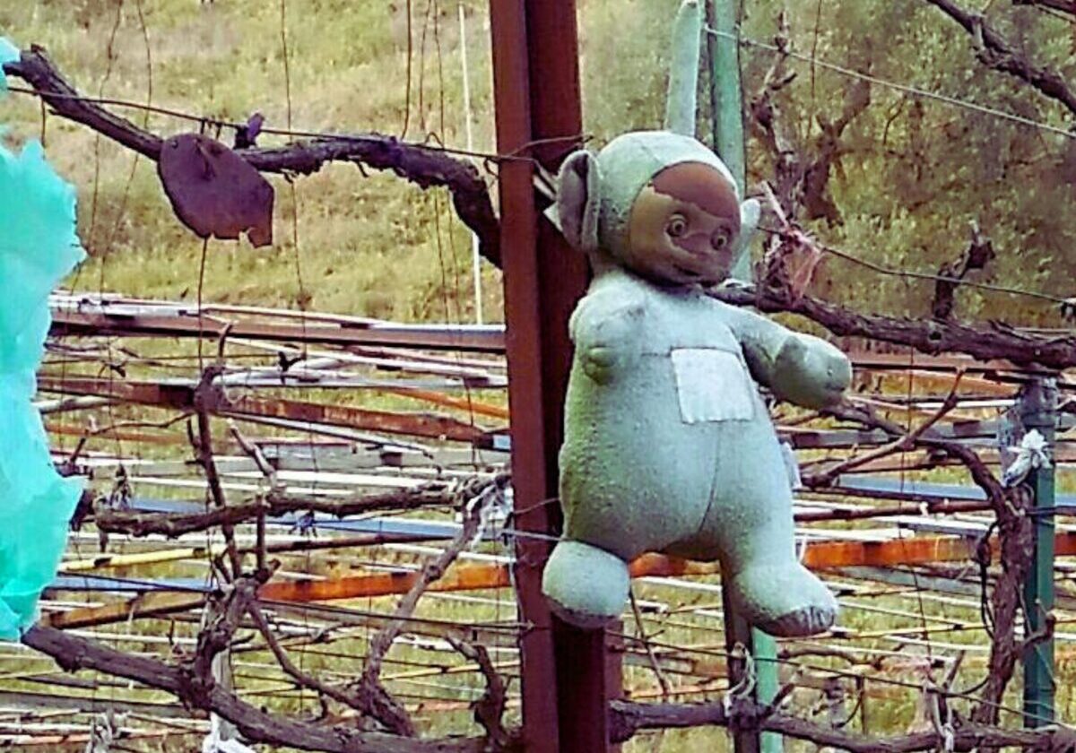 Een Teletubbieknuffel hangt in een tuin in Albanië als beschermer tegen het Boze Oog.